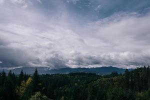 Coniferous Forest and Mountains Landscape Travel serene scenery photo