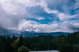 Coniferous Forest and Mountains Landscape Travel serene scenery photo