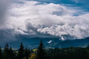 Coniferous Forest and Mountains Landscape Travel serene scenery photo