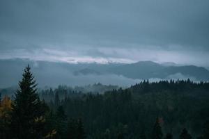 Coniferous Forest and Mountains Landscape Travel serene scenery photo