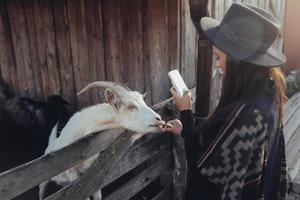 Woman takes a photo of a goat on her smartphone.