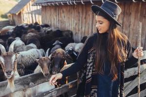 A young beautiful woman near a pen with goats photo