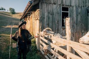 A young beautiful woman near a pen with goats photo