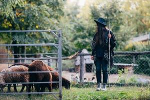 Young woman near a pen with sheep on a farm photo