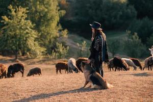 pastora con un perro pasta un rebaño en el césped foto