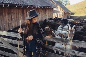 A young beautiful woman near a pen with goats photo
