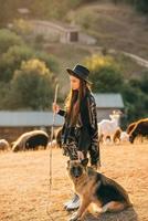 pastora con un perro pasta un rebaño en el césped foto