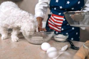 Cute white Maltese dog sniffing meal on the table photo