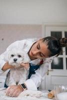 Woman in the kitchen kneads the dough with her dog photo