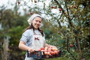 woman in garden photo