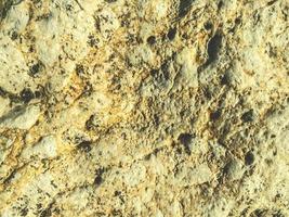 texture, stone on the beach near the sea. huge boulder of sand, rock. the stone lies on the seashore. natural background, 3d texture photo
