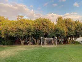 Small gates for playing mini-football on a green lawn against the backdrop of palm trees on vacation in a paradise warm eastern tropical country resort photo