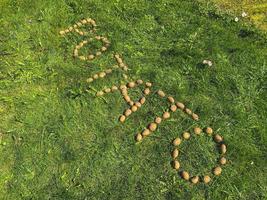 The inscription potatoes made of letters from natural yellow beautiful ripe tasty healthy starchy potatoes fresh in the ground. photo