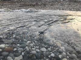 The shore with large colored stones in clear water. A white foam wave rolls onto the shore, washing several large black stones against the background of gray-blue water photo