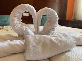 Swans twisted from towel - greeting in hotel photo