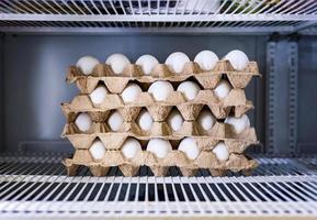 huevos de gallina en primer plano de bandejas de cartón foto