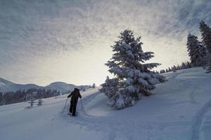 Skier bypassing conifer landscape photo
