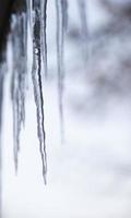 Glistening icicles hang on the ledge on a snowy day. Photo. Macro photo