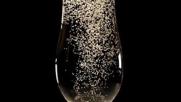 Champagne bubbels in een fluit. sprankelend wijn drinken Aan zwart achtergrond. video