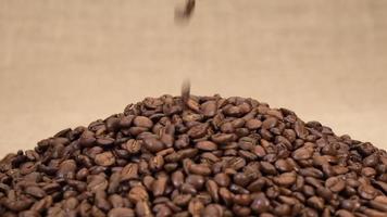 Coffee beans falling at slow motion video