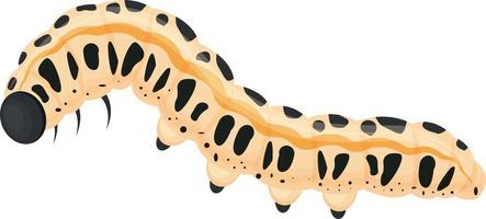 A bright caterpillar of black and beige color. The insect is an agricultural pest. Vector illustration isolated on a white background