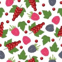 un patrón transparente de verano brillante con la imagen de frambuesas maduras, fresas, grosellas, así como hojas de frambuesa y grosella roja. patrón de bayas para la impresión. ilustración vectorial vector