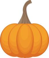 A bright autumn illustration with an image of a ripe pumpkin of a flattened shape in orange color. A ripe vegetable.A Halloween symbol. Vector illustration isolated on a white background