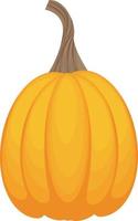 una brillante ilustración otoñal con la imagen de una calabaza madura de forma ovalada de color naranja claro. una verdura madura.un símbolo de halloween. ilustración vectorial aislada en un fondo blanco. vector