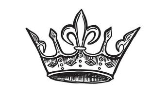 Crown hand drawn illustrations. Vector. vector