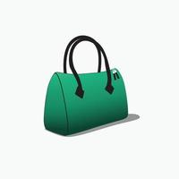 Illustration of a Green Women's Bag on a White Background. vector