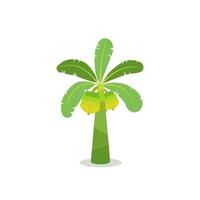 Banana tree with fruit flat vector illustration.Tropical tree concept