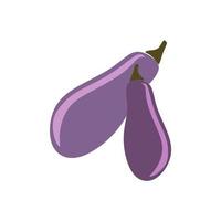 Two eggplants. Flat style. Isolated on a white background. vector