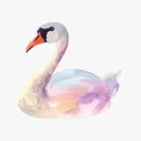 ilustración acuarela, cisne sobre un fondo blanco aislado vector