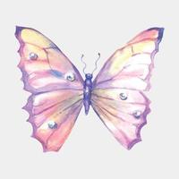 Watercolor multicolored butterfly for design. isolated on white background vector