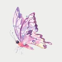 Watercolor multicolored butterfly for design. isolated on white background vector