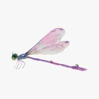 Hand drawn watercolor illustration of purple dragonfly isolated on white background. vector