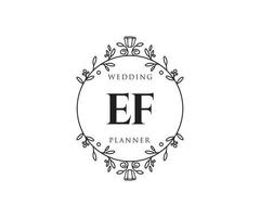 Colección de logotipos de monograma de boda con letras iniciales ef, plantillas florales y minimalistas modernas dibujadas a mano para tarjetas de invitación, guardar la fecha, identidad elegante para restaurante, boutique, café en vector