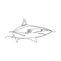 Shark vector illustration drawn in line art style