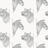 Seamless pattern with zebras drawn in line art style vector
