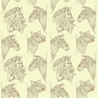 Seamless pattern with zebras drawn in line art style vector