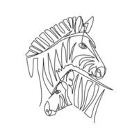 Zebra vector illustration drawn in line art style