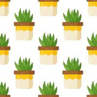 Vector illustration of succulent pattern on white background. Beautiful room vase as decor.