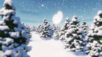 une promenade dans la forêt enneigée entre les sapins de noël lors d'une chute de neige. animation en boucle infinie video