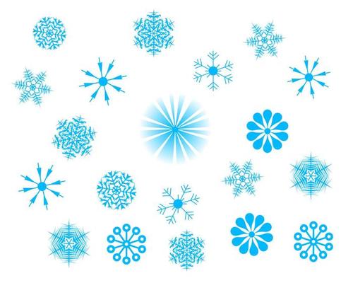 different snowflakes on a white background