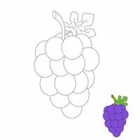 Grape trace and coloring book. Fruits vector illustration