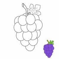 Grape coloring book for children and kids vector