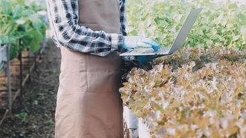 female farmer working early on farm holding wood basket of fresh vegetables and tablet video