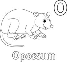 Opossum Alphabet ABC Isolated Coloring Page O vector