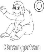 orangután alfabeto abc aislado para colorear página o vector