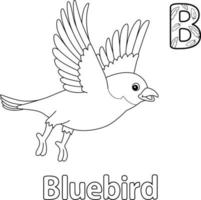 pájaro azul alfabeto abc aislado para colorear página b vector